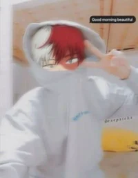 Shoto todoroki 
