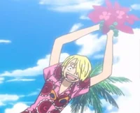 Vacation Sanji