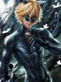 Cat Noir