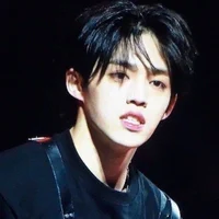 Scoups