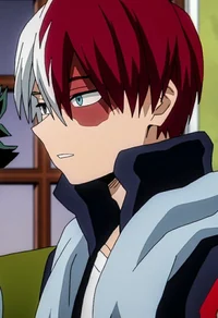Shoto Todoroki
