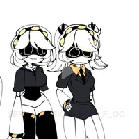 J y V