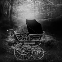 Abandoned Stroller 