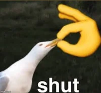 Duck Shut
