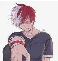 Shoto Todoroki 