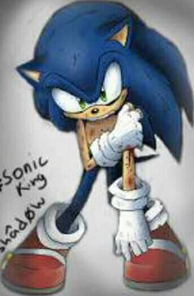 Sonic the hedgehog