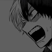 Shoto Todoroki
