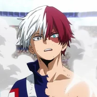 Shoto Todoroki