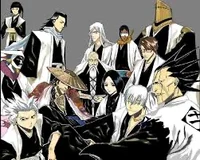 Bleach Captains