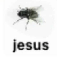 jesus fly
