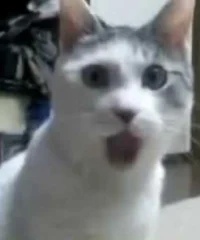 2- Thank You Message