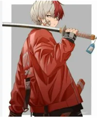 Shoto todoroki 