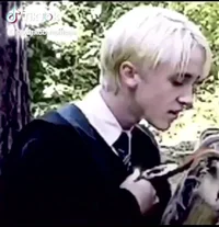 Draco Malfoy 