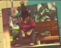 Furry zootopia bf