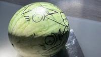 Watermelon BASIL
