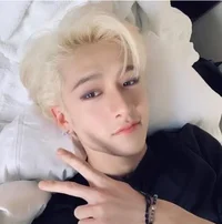 Stray kids Bangchan 
