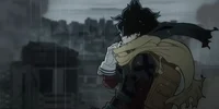 MHA Vigilantism