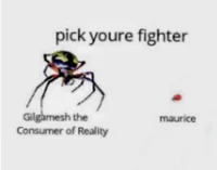 Pick your fighter