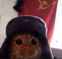 Kowalski Kalashnikov