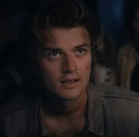 Steve Harrington 