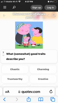 SomeDSMPppl -falling