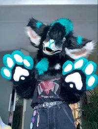 Furry-DINO