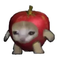 Apple cat