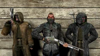 Stalker bandits