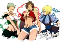 Fem Zoro Luffy Sanji