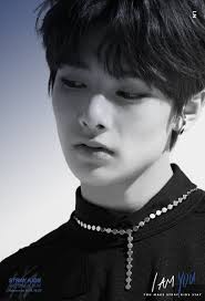 Yang jeongin - siren