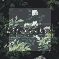 Lifehacker
