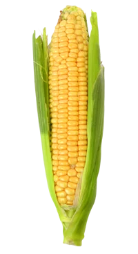 Bambis corn