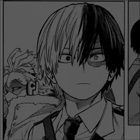 Shoto Todoroki