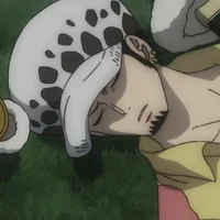 Trafalgar Law
