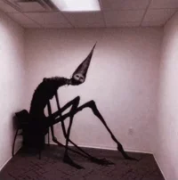 NORMAL HUMAN
