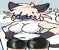 Siamese Cat Transfur