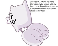 Pillow -Feet-