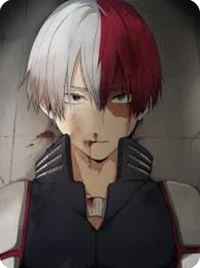 Shoto Todoroki 