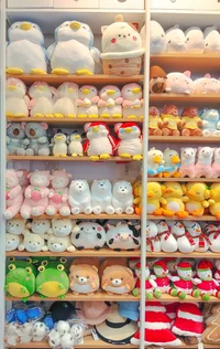 Your plush Shop