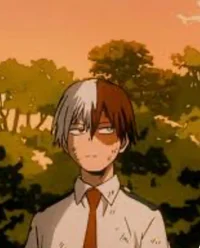 Shoto Todoroki