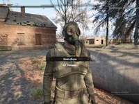 Stalker Wolf