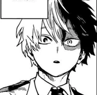 Shoto Todoroki 