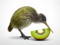 Kiwi