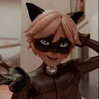 Cat Noir