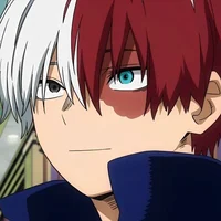 Shoto Todoroki 