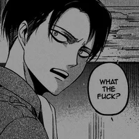 Levi Ackerman