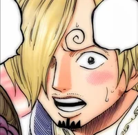 S Vinsmoke Sanji