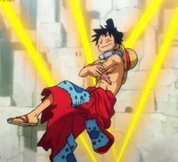 Wano luffy
