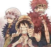 Law Luffy Kid