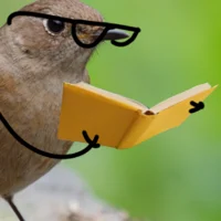 Bird Professor